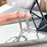 گوشواره حلقه ای جواهری نقره ای